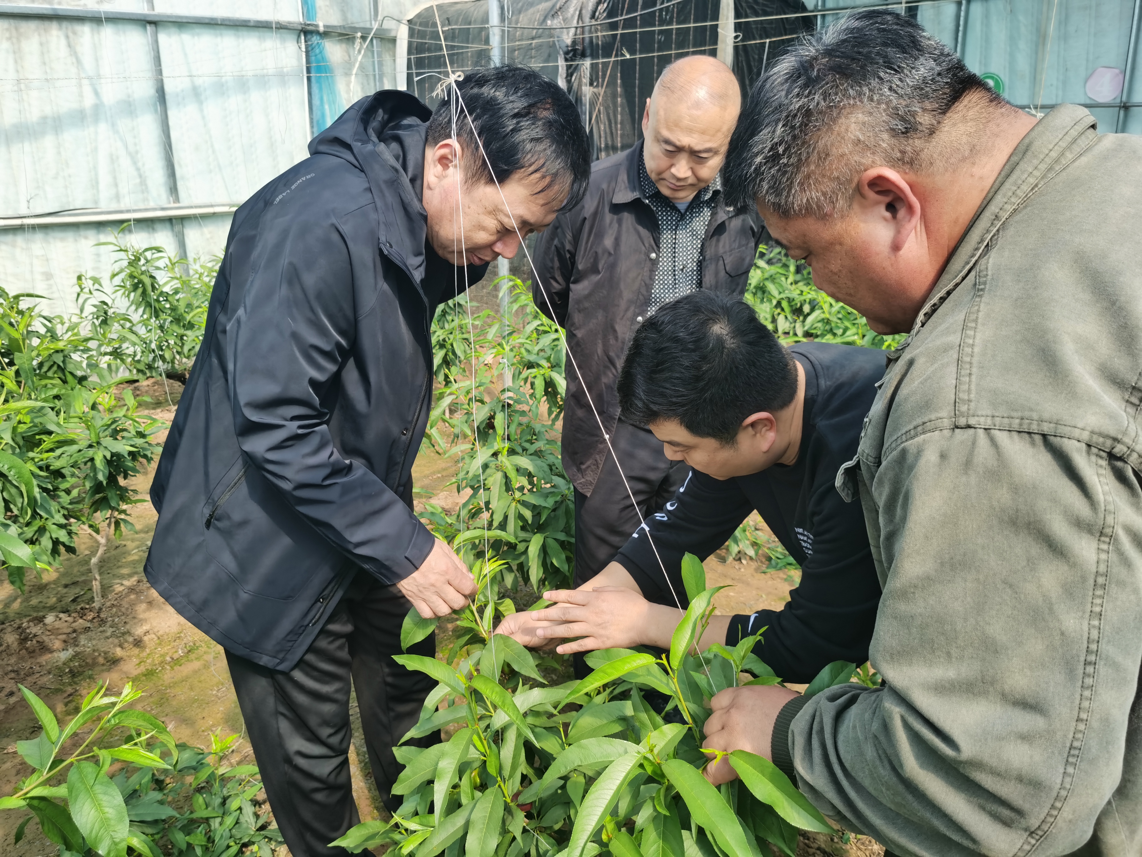 微信圖片_20240326170102.jpg 微信圖片_20240326170102.jpg